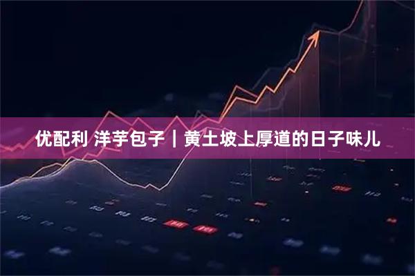 优配利 洋芋包子｜黄土坡上厚道的日子味儿