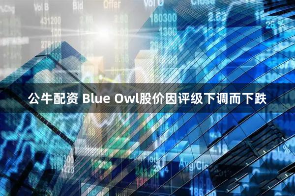 公牛配资 Blue Owl股价因评级下调而下跌